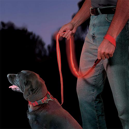 Stinky retractable outlet dog leash